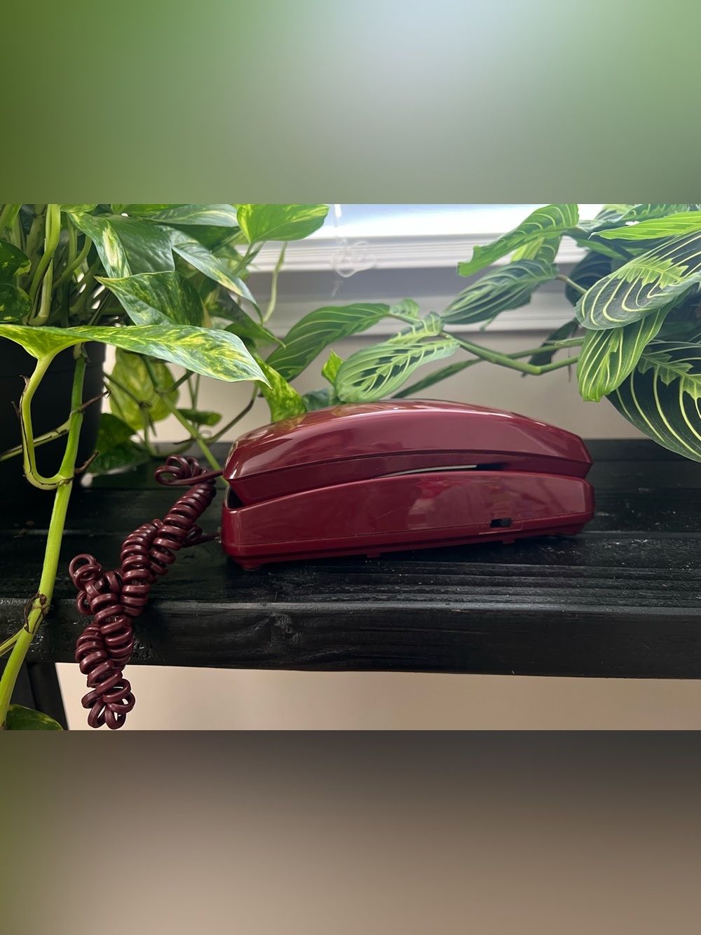 Vintage Burgundy House Phone